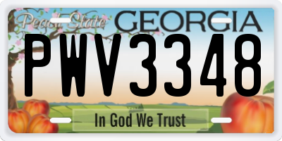 GA license plate PWV3348
