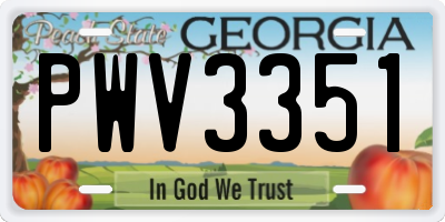 GA license plate PWV3351