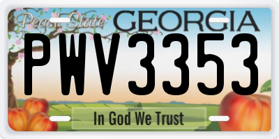GA license plate PWV3353