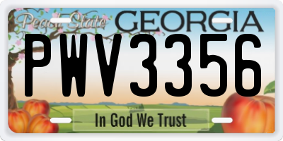 GA license plate PWV3356