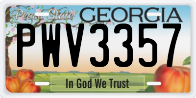 GA license plate PWV3357