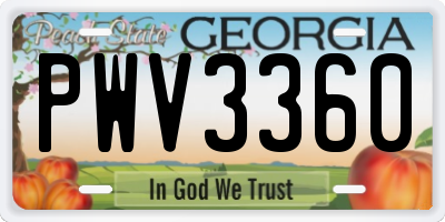 GA license plate PWV3360