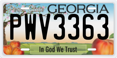 GA license plate PWV3363
