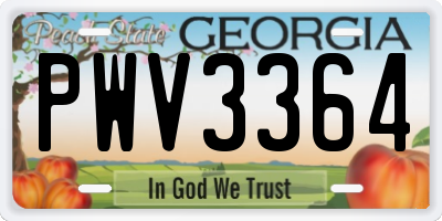 GA license plate PWV3364