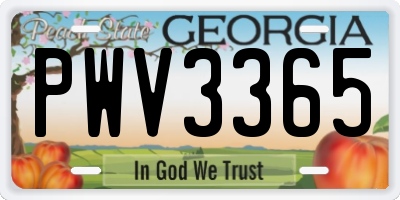 GA license plate PWV3365