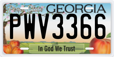 GA license plate PWV3366