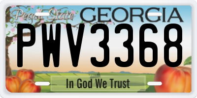 GA license plate PWV3368