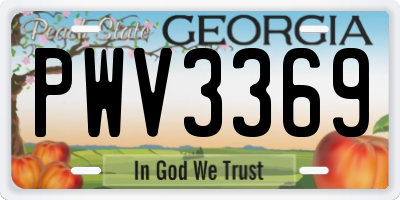 GA license plate PWV3369