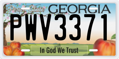 GA license plate PWV3371