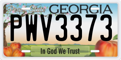 GA license plate PWV3373