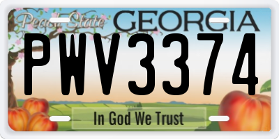 GA license plate PWV3374