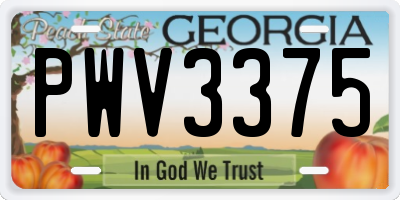GA license plate PWV3375