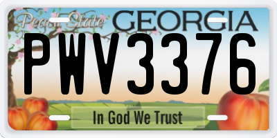 GA license plate PWV3376