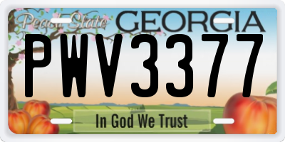 GA license plate PWV3377