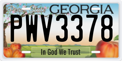 GA license plate PWV3378