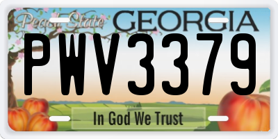 GA license plate PWV3379