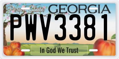 GA license plate PWV3381