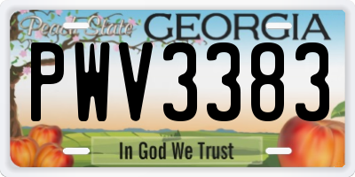 GA license plate PWV3383