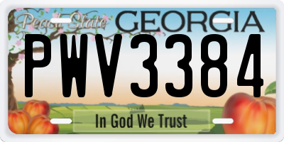 GA license plate PWV3384