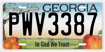 GA license plate PWV3387