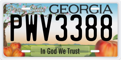 GA license plate PWV3388