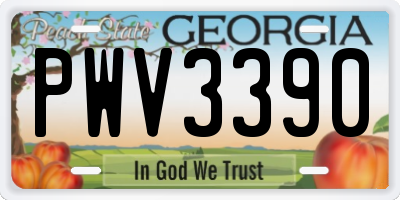 GA license plate PWV3390