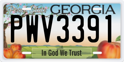 GA license plate PWV3391