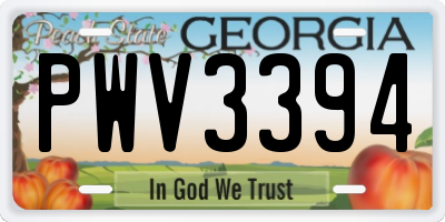 GA license plate PWV3394