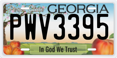 GA license plate PWV3395