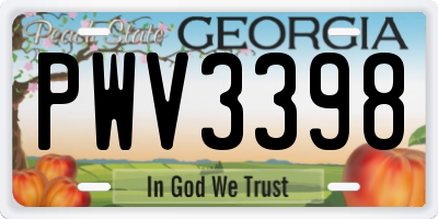 GA license plate PWV3398
