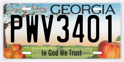 GA license plate PWV3401