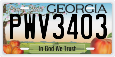 GA license plate PWV3403
