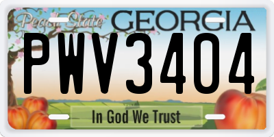 GA license plate PWV3404