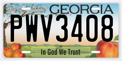 GA license plate PWV3408