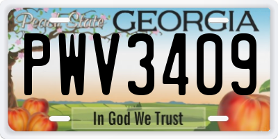 GA license plate PWV3409