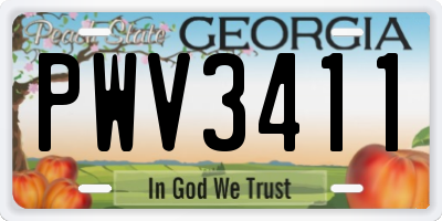 GA license plate PWV3411