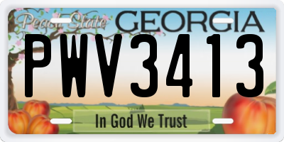 GA license plate PWV3413