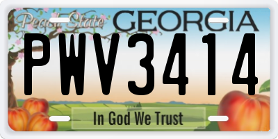 GA license plate PWV3414