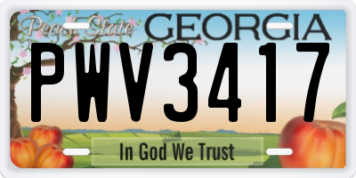 GA license plate PWV3417