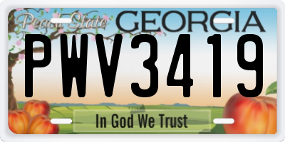 GA license plate PWV3419