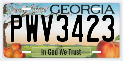 GA license plate PWV3423