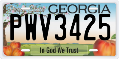 GA license plate PWV3425