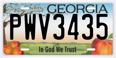 GA license plate PWV3435