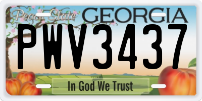 GA license plate PWV3437