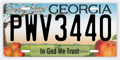 GA license plate PWV3440