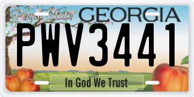 GA license plate PWV3441