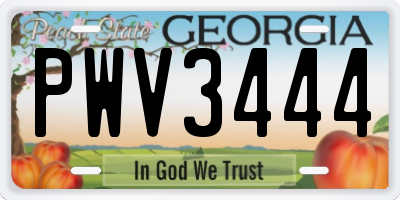GA license plate PWV3444