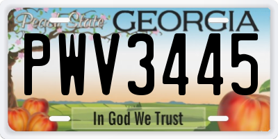 GA license plate PWV3445
