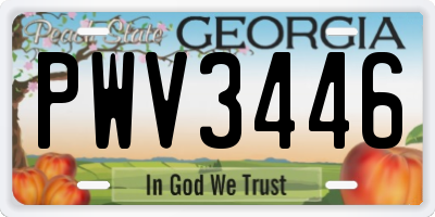 GA license plate PWV3446