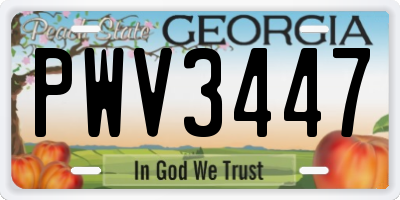 GA license plate PWV3447